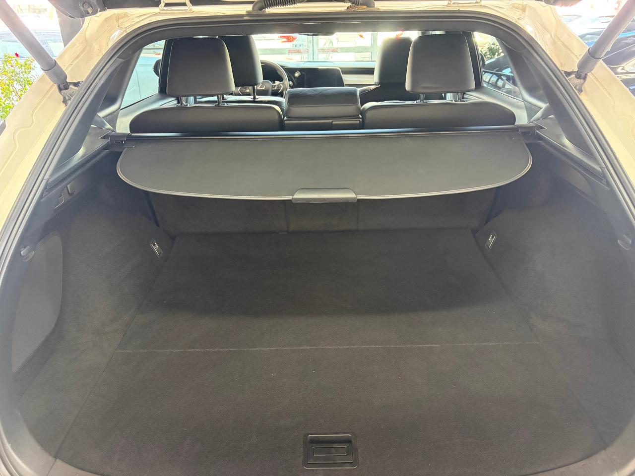 2024 Lexus RX 350 RX 350 AWD Photo