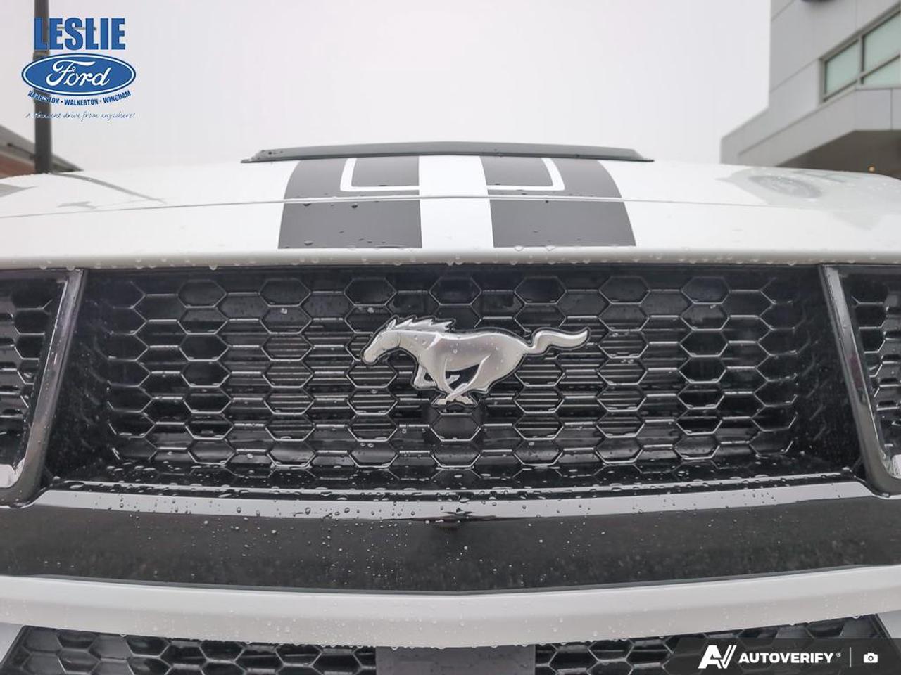 2026 Ford Mustang GT Premium Fastback Photo