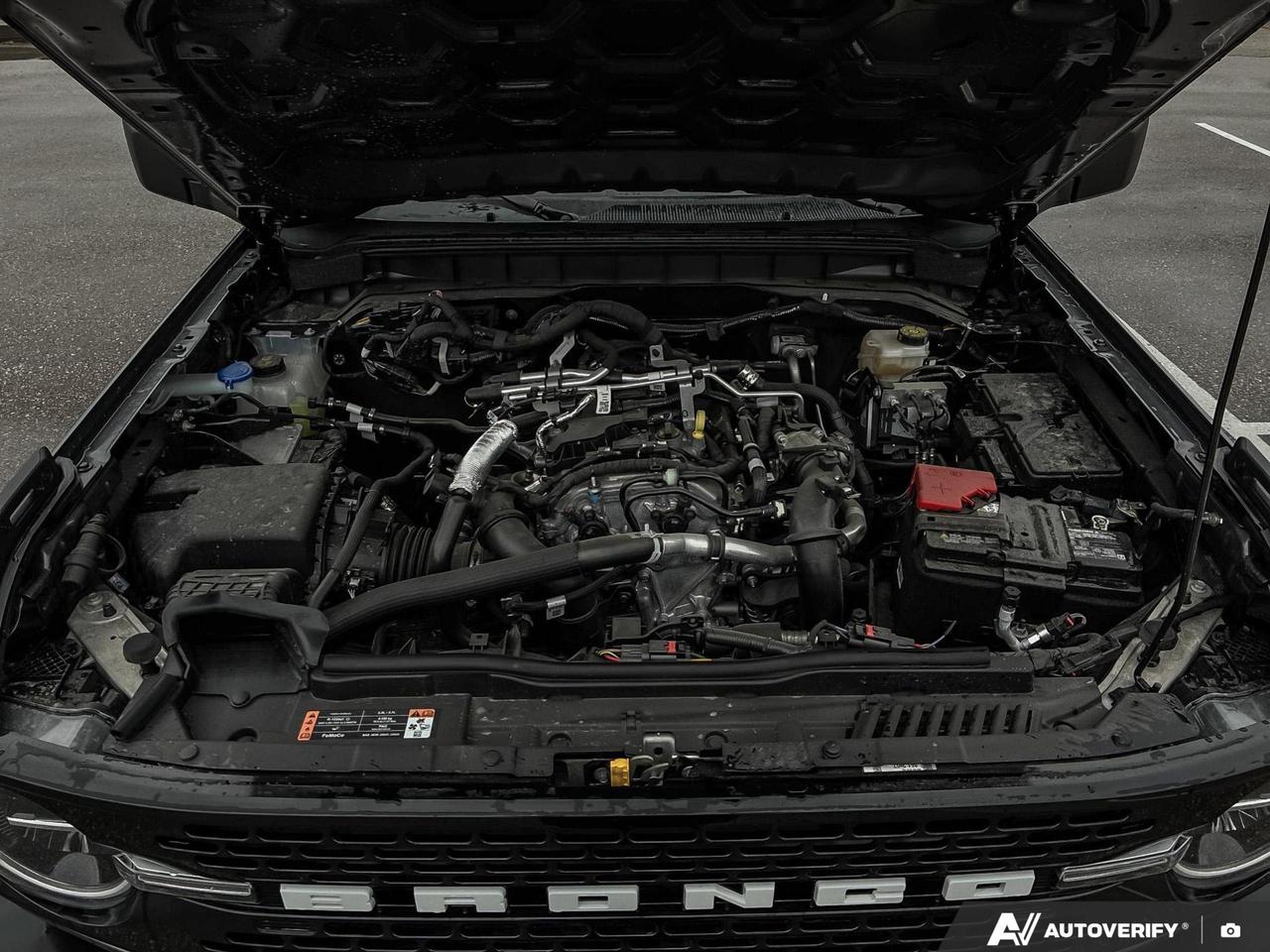 13646225