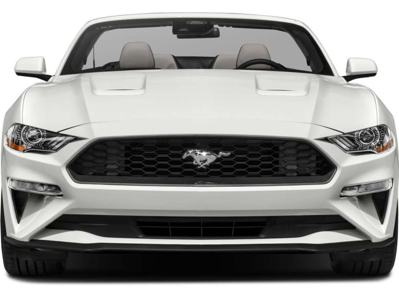 2022 Ford Mustang EcoBoost Premium Photo