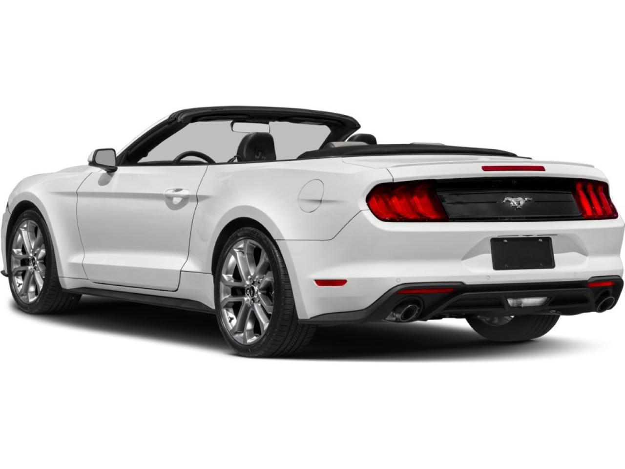 2022 Ford Mustang EcoBoost Premium Photo