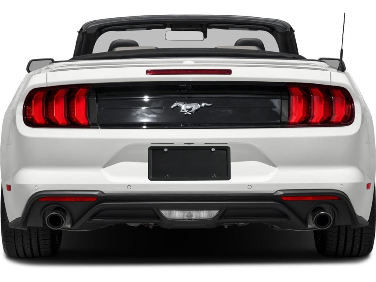 2022 Ford Mustang EcoBoost Premium Photo