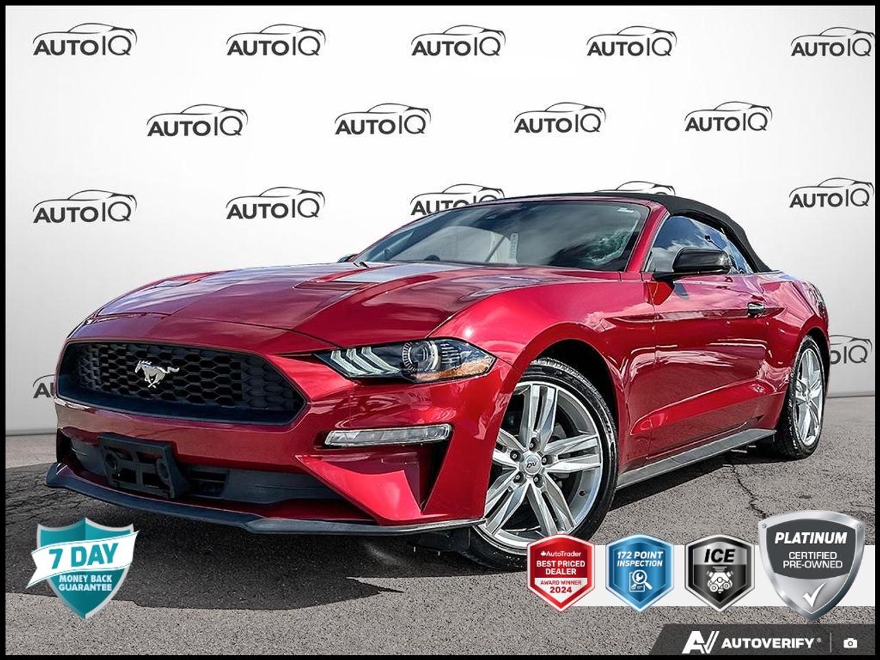 Used 2022 Ford Mustang EcoBoost Premium LOW KMS LEATHER ACTIVE PERFORMANCE EXHAUST for sale in Hamilton, ON