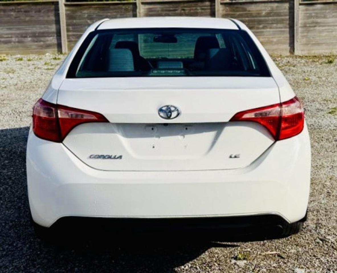 2017 Toyota Corolla LE Photo