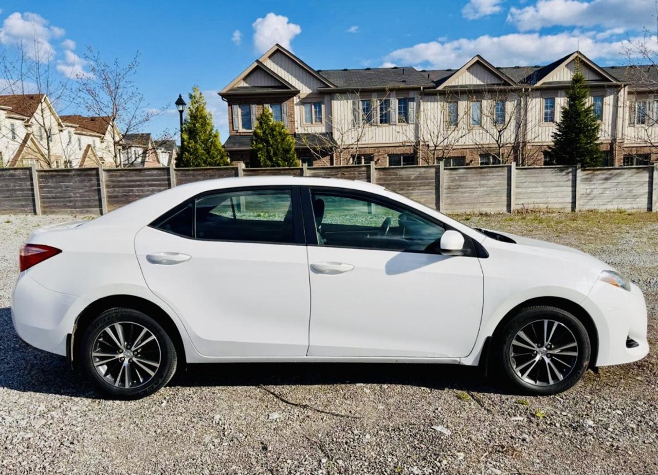 2017 Toyota Corolla LE Photo