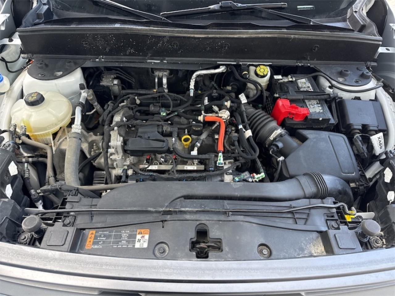 2023 Ford Bronco Sport Big Bend  Heated Seats Photo