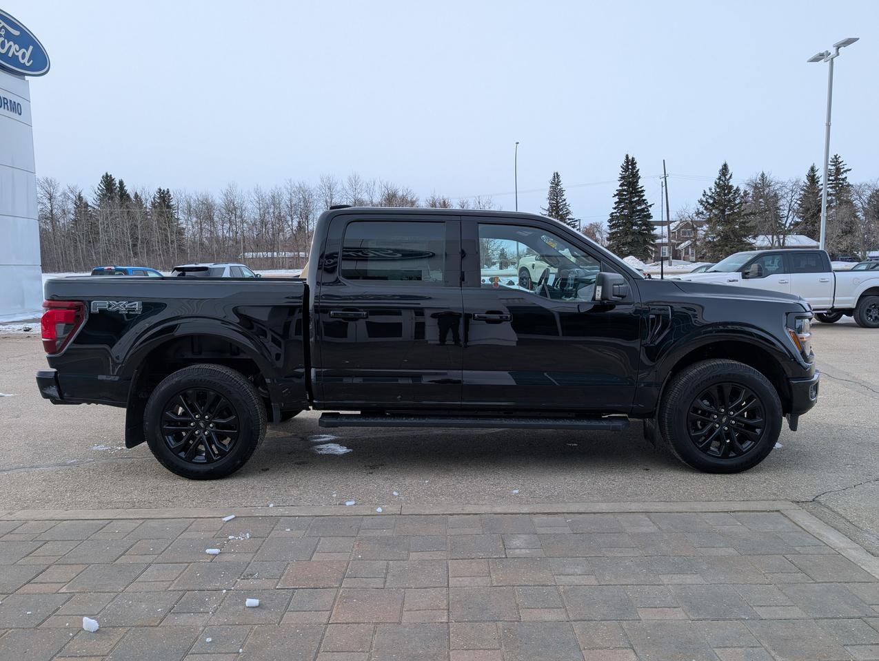 2026 Ford F-150 XLT Photo4