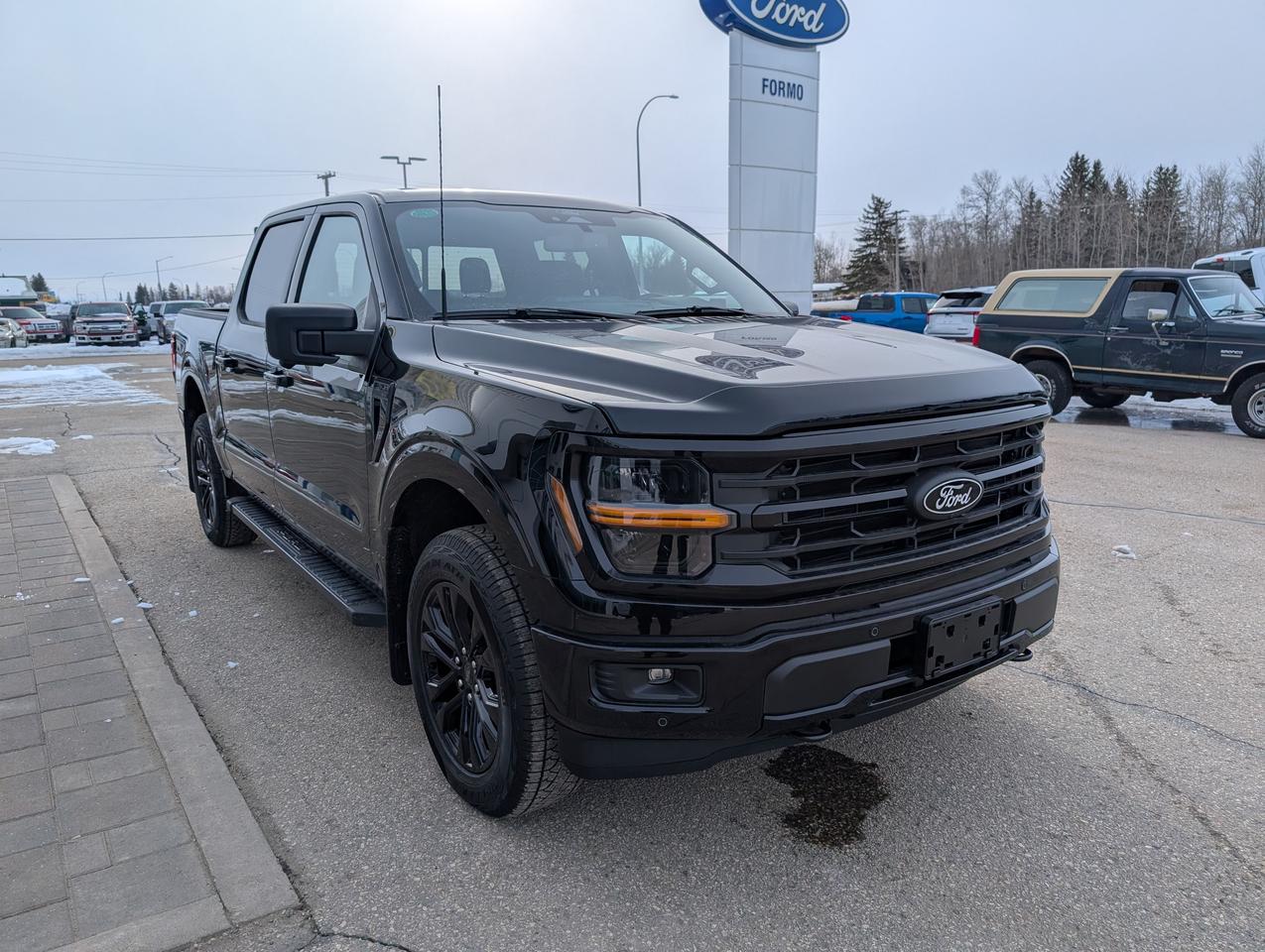 2026 Ford F-150 XLT Photo3