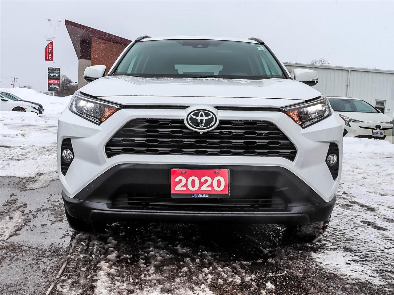2020 Toyota RAV4 XLE Photo