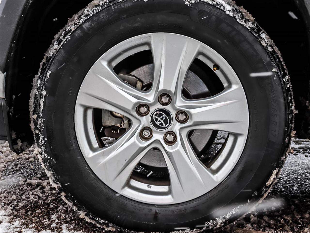 2020 Toyota RAV4 XLE Photo