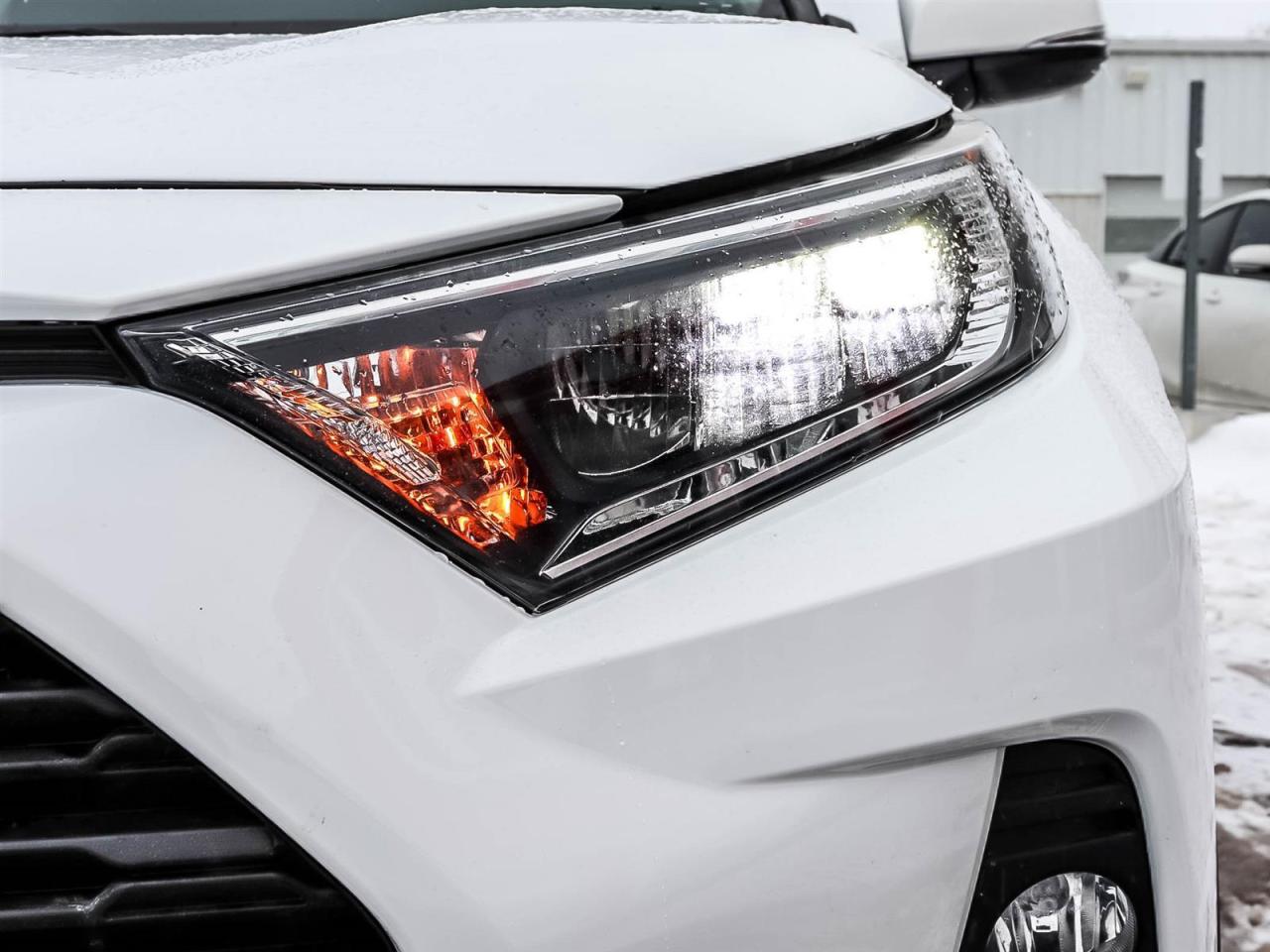 2020 Toyota RAV4 XLE Photo