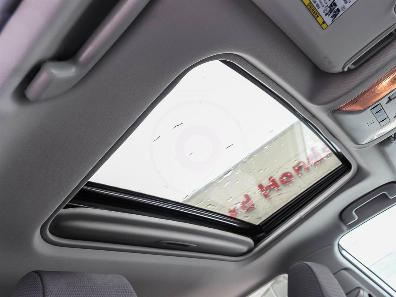 2020 Toyota RAV4 XLE Photo