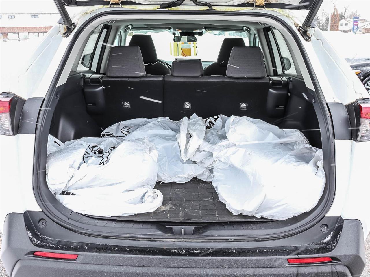 2020 Toyota RAV4 XLE Photo