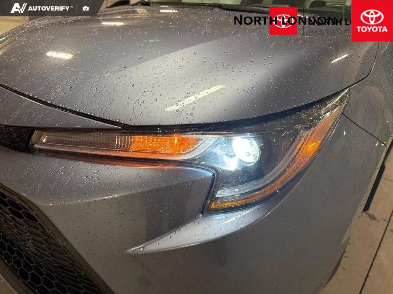 2021 Toyota Corolla  Photo