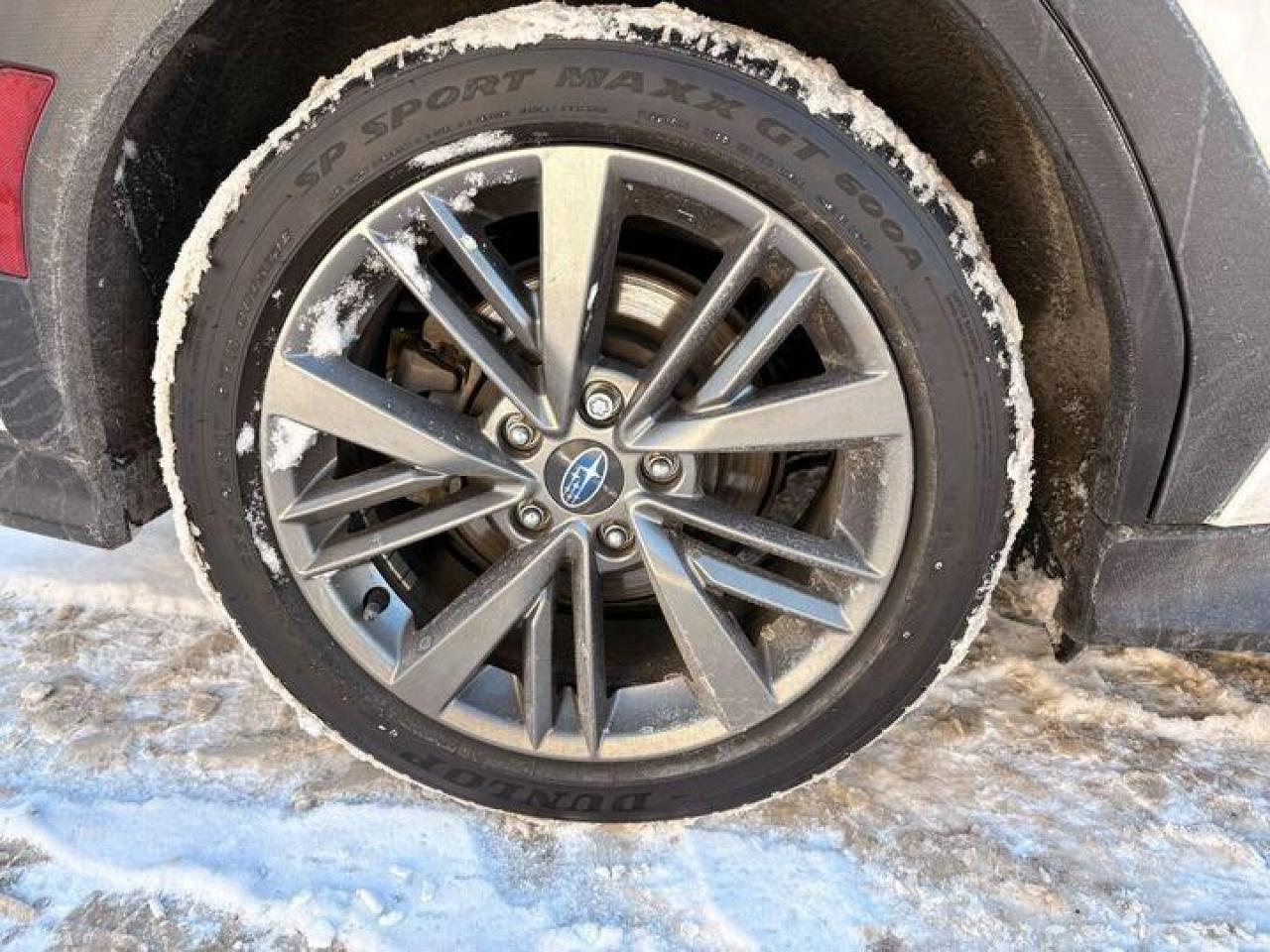 2023 Subaru WRX Base (M6) 4dr All-Wheel Drive Sedan Photo