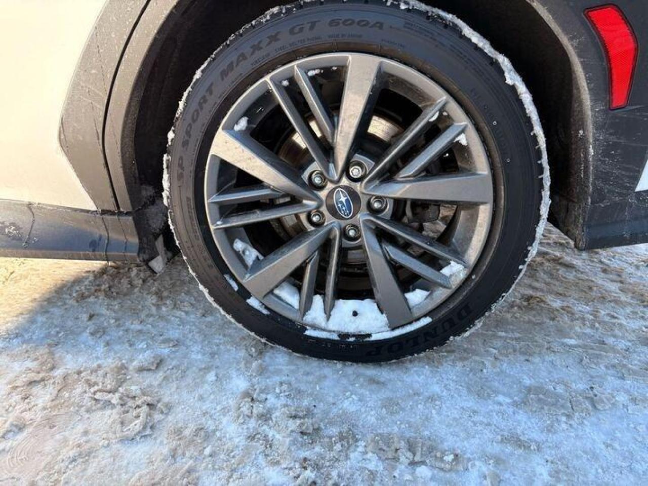 2023 Subaru WRX Base (M6) 4dr All-Wheel Drive Sedan Photo