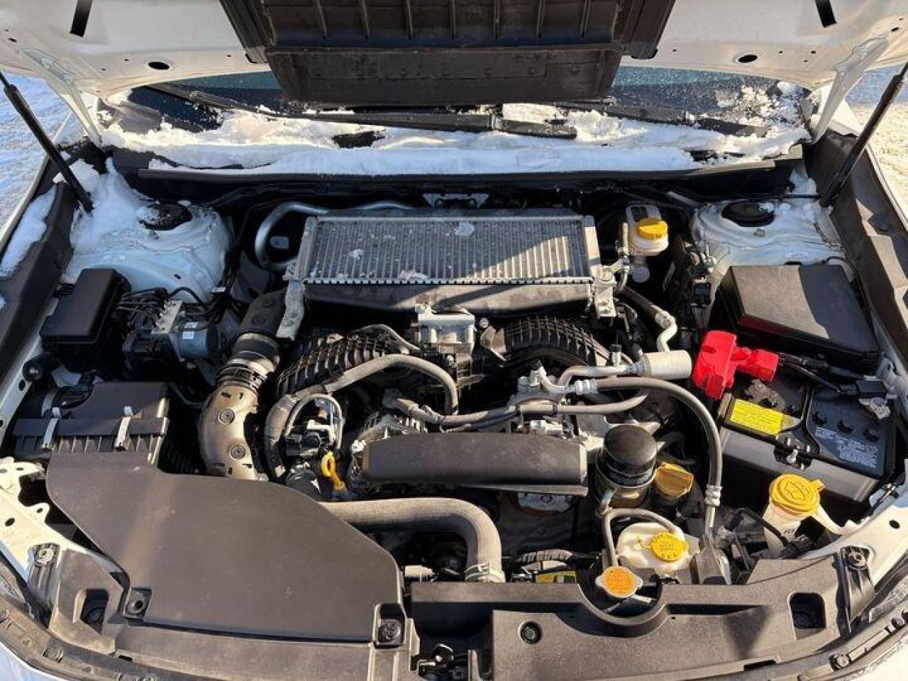 2023 Subaru WRX Base (M6) 4dr All-Wheel Drive Sedan Photo