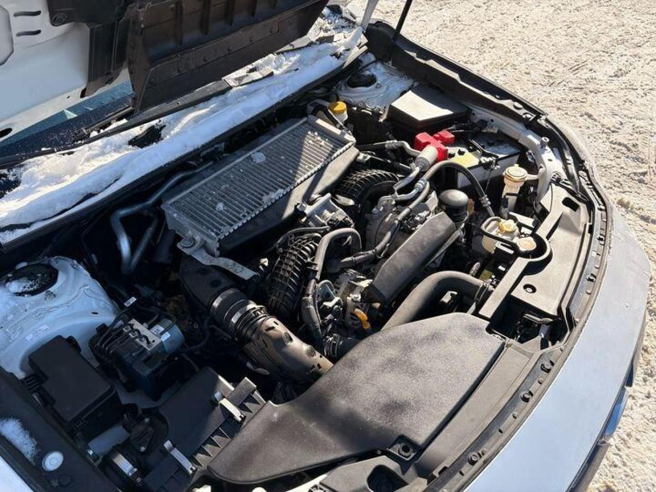 2023 Subaru WRX Base (M6) 4dr All-Wheel Drive Sedan Photo