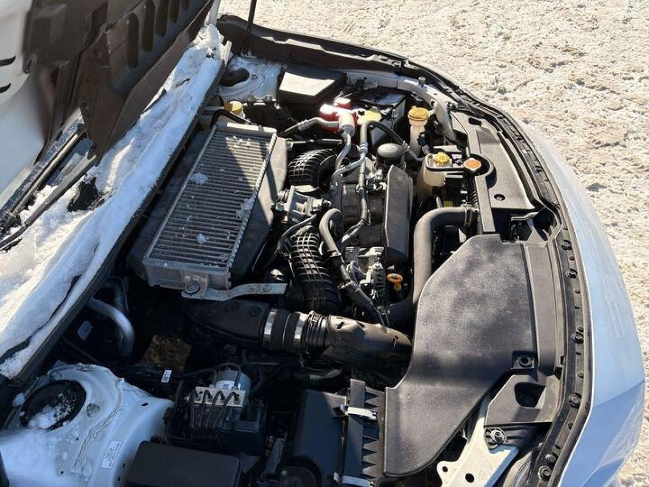 2023 Subaru WRX Base (M6) 4dr All-Wheel Drive Sedan Photo