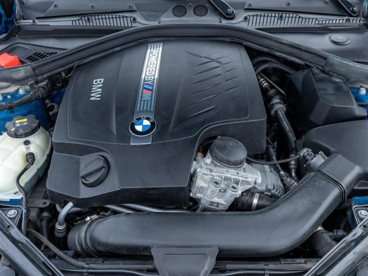 2017 BMW M2 Auto-Leveling Headlights Power Steering Back-Up Ca Photo