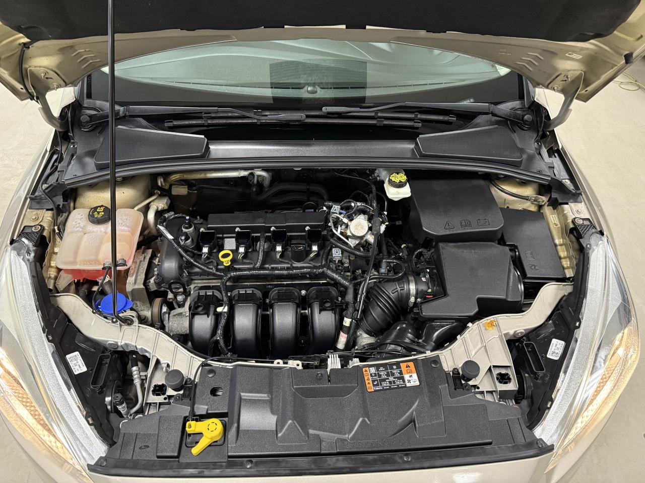 2017 Ford Focus 5DR HB SE Photo