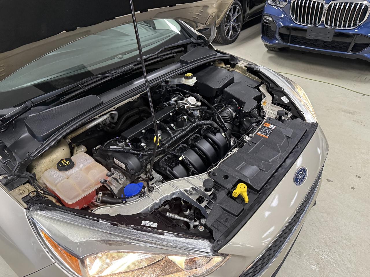 2017 Ford Focus 5DR HB SE Photo