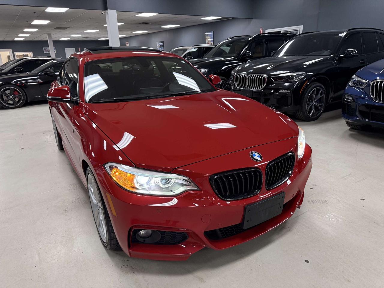 2017 BMW 2 Series xDrive Photo