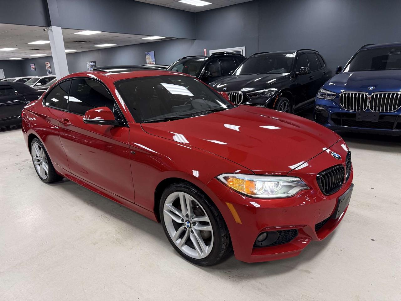 2017 BMW 2 Series xDrive Photo