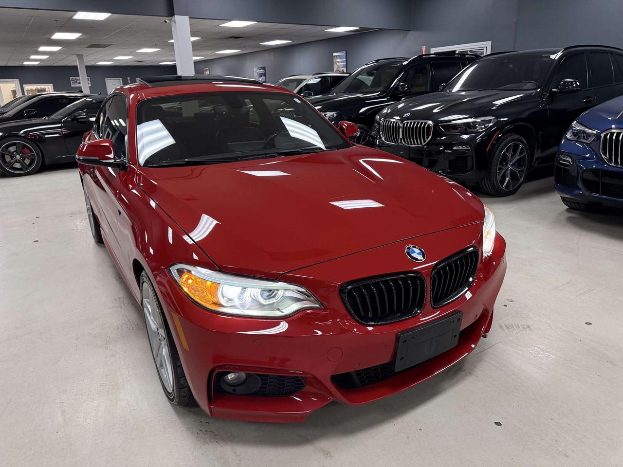 2017 BMW 2 Series xDrive Photo