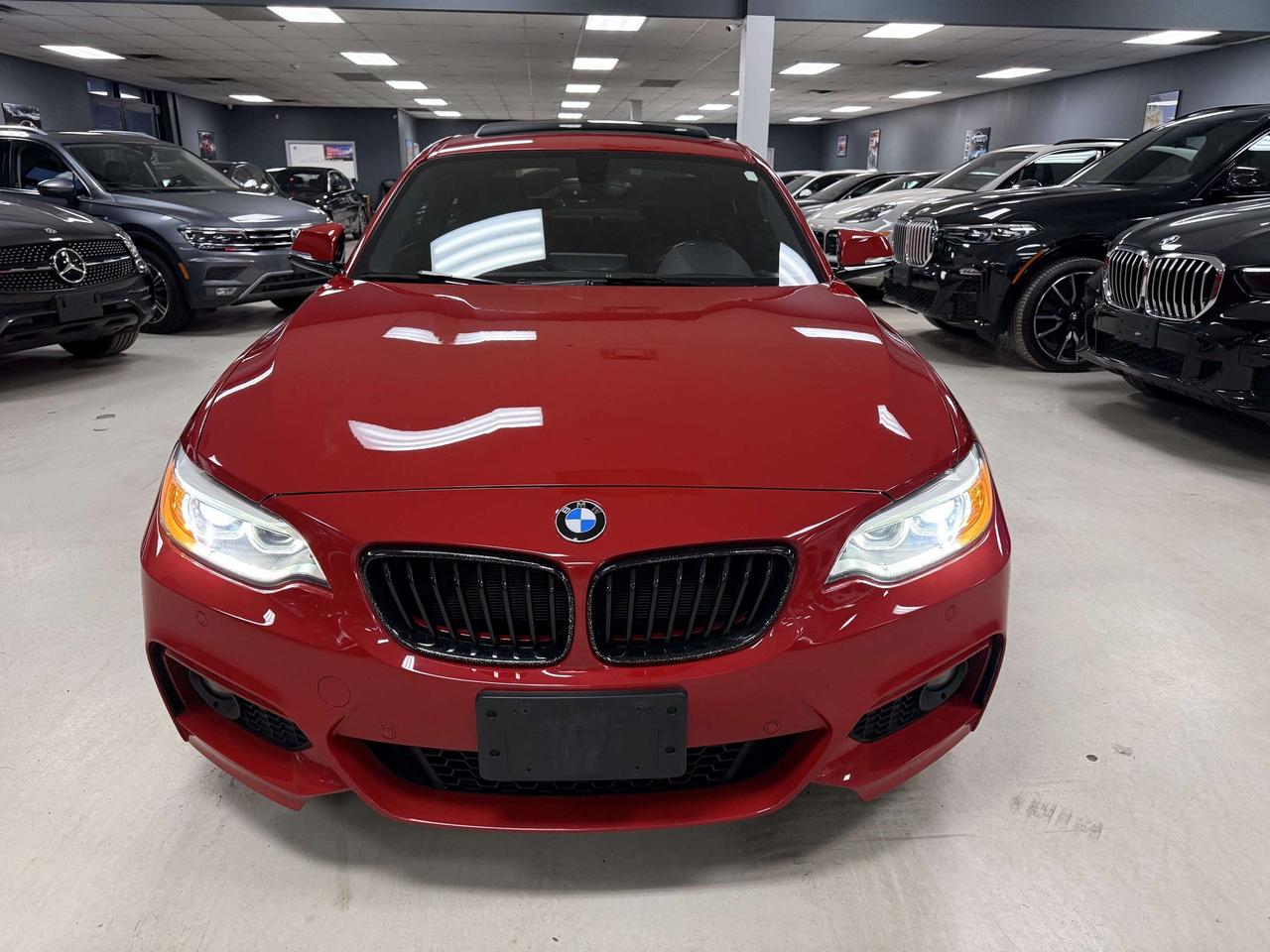 2017 BMW 2 Series xDrive Photo