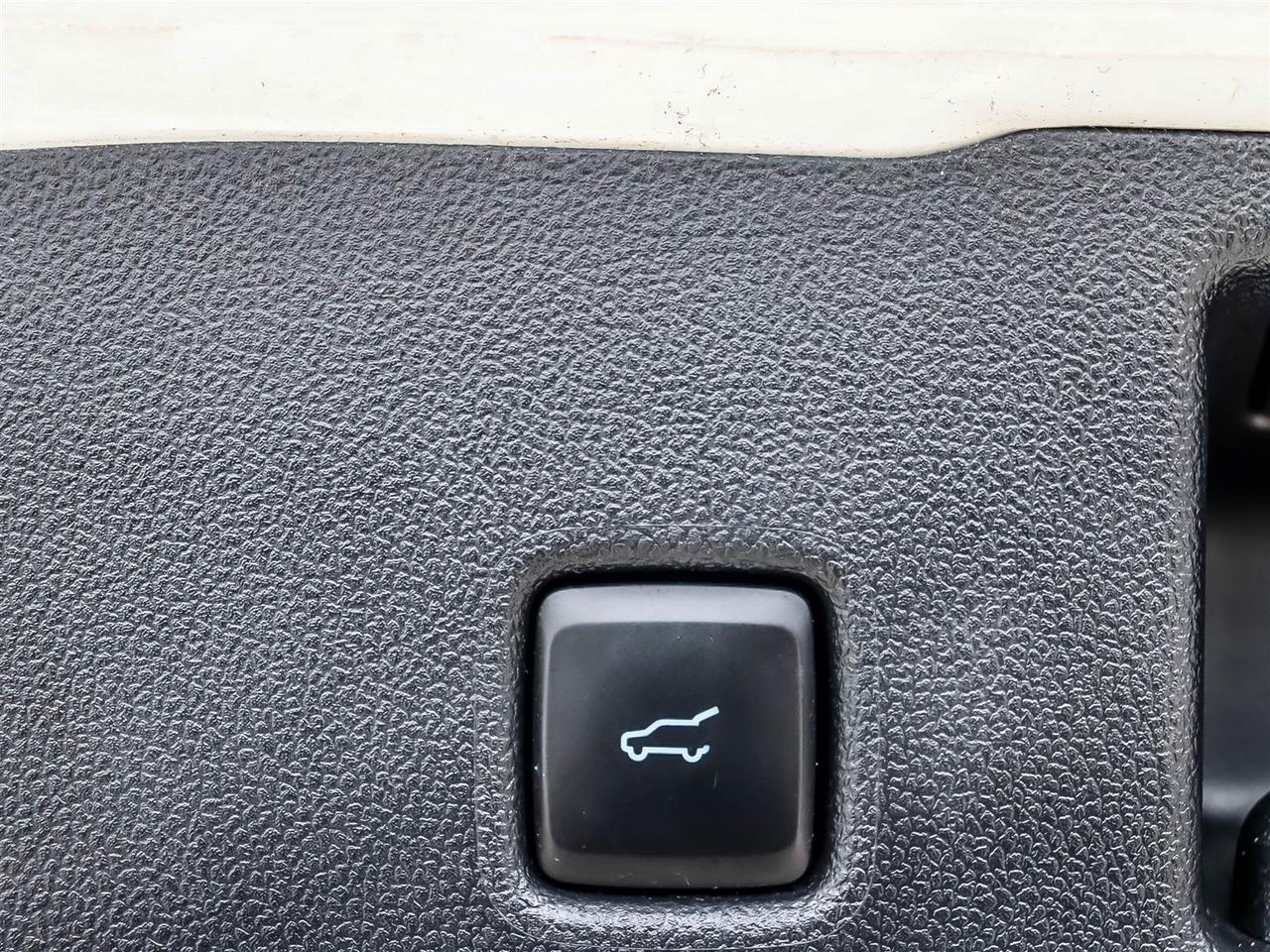 2024 Ford Escape ST-Line Photo