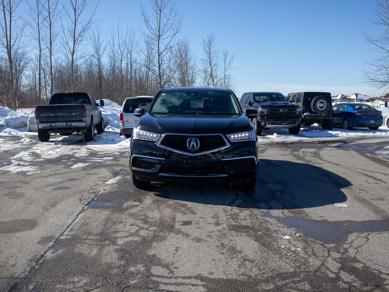 2019 Acura MDX Tech - Seat Memory   Leather Steering Wheel Photo