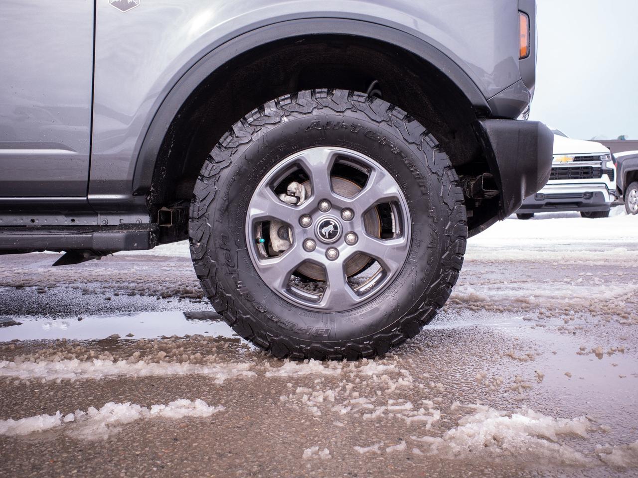 2023 Ford Bronco - Rollover Protection Bars   Heated Mirrors Photo