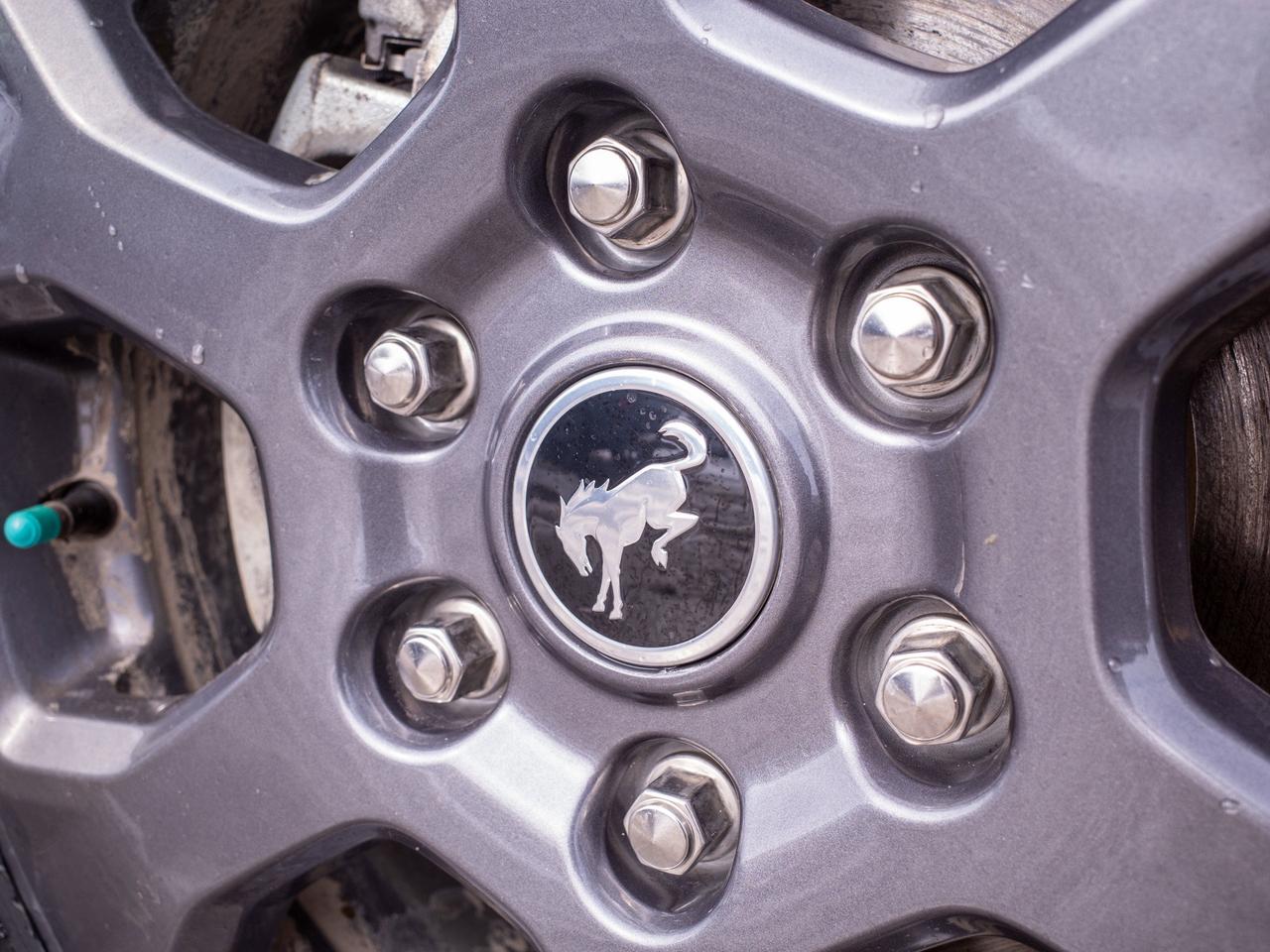 2023 Ford Bronco - Rollover Protection Bars   Heated Mirrors Photo