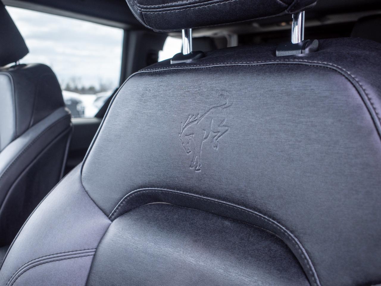 2023 Ford Bronco - Rollover Protection Bars   Heated Mirrors Photo