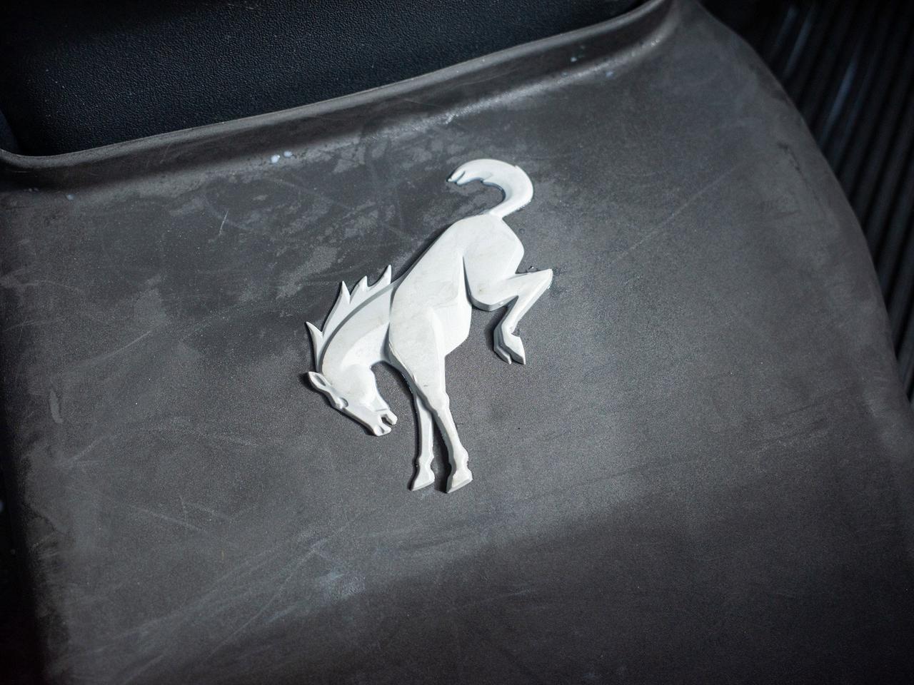 2023 Ford Bronco - Rollover Protection Bars   Heated Mirrors Photo