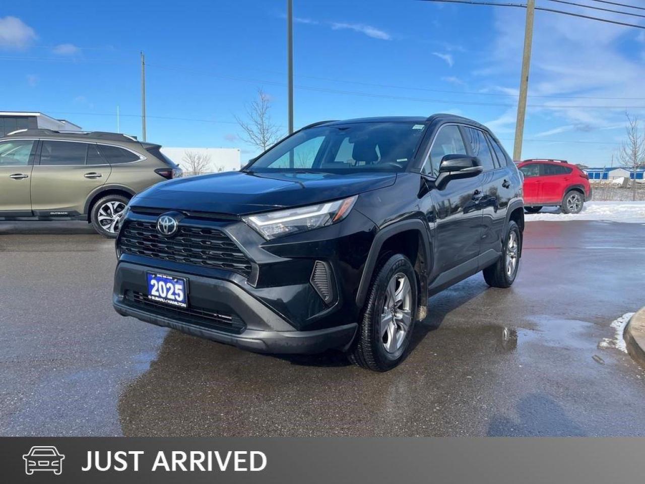 2025 Toyota RAV4 XLE 4dr All-wheel Drive Photo0