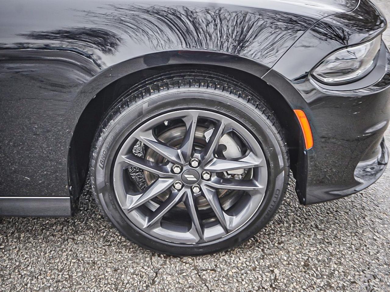 2023 Dodge Charger  Photo