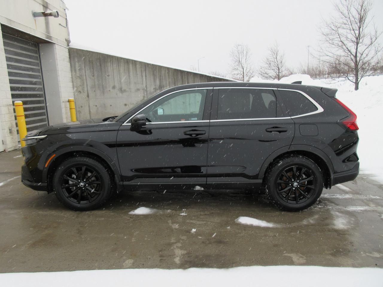 2024 Honda CR-V Hybrid EX-L 4dr All-Wheel Drive Photo2