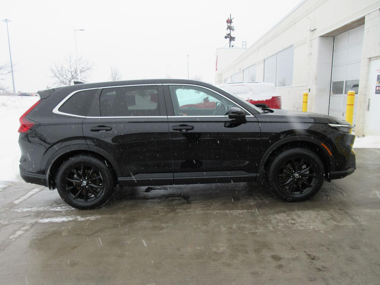 2024 Honda CR-V Hybrid EX-L 4dr All-Wheel Drive Photo