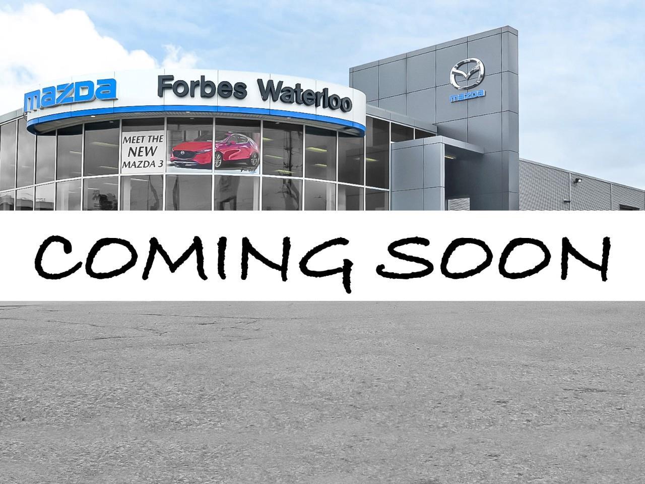 2017 Ford Escape SE 4dr Front-wheel Drive Photo0