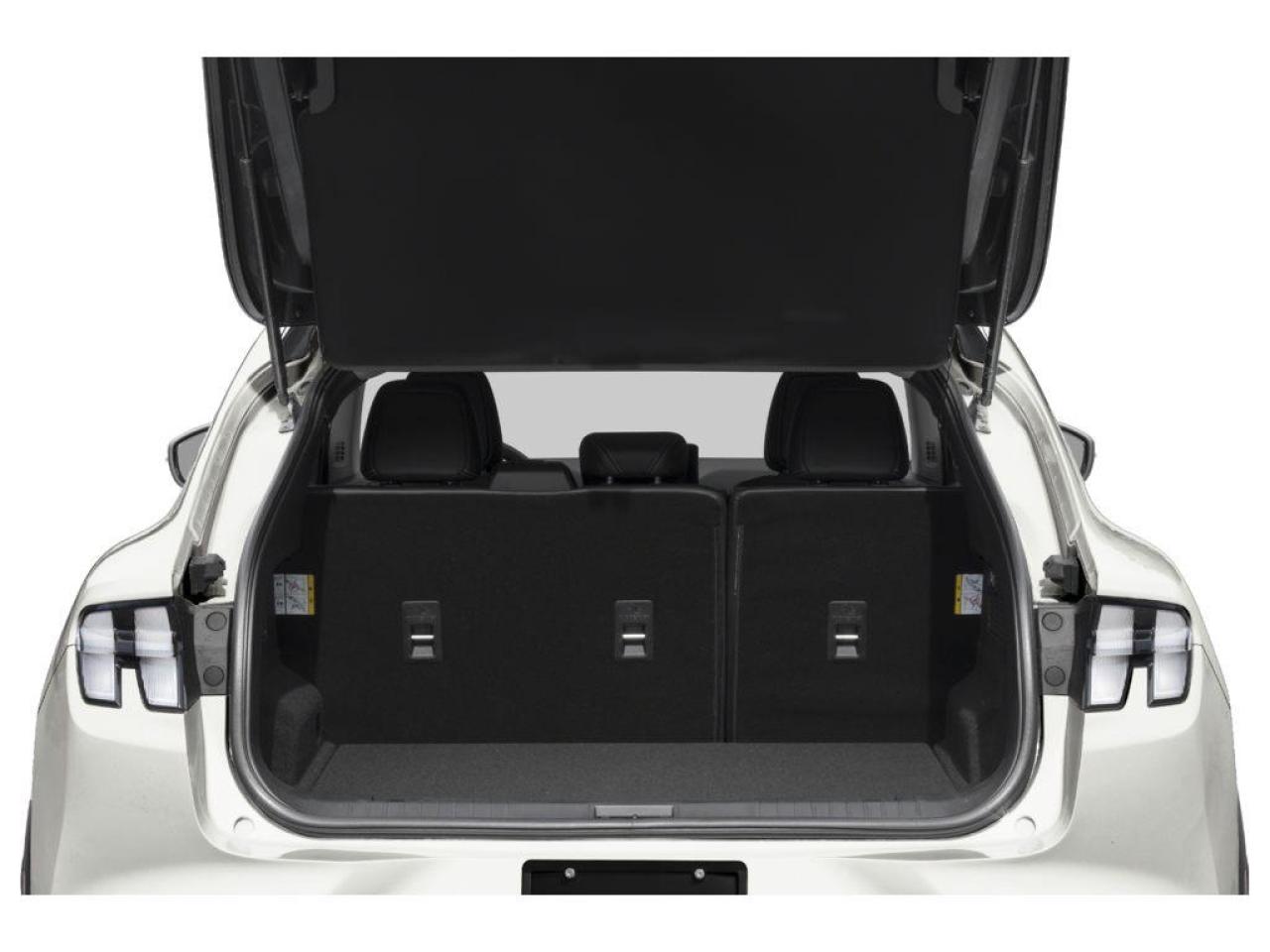 2023 Ford Mustang Mach-E California Route 1 4dr All-Wheel Drive Photo