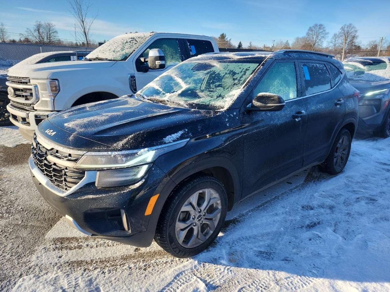 2024 Kia Seltos EX 4dr All-Wheel Drive Photo