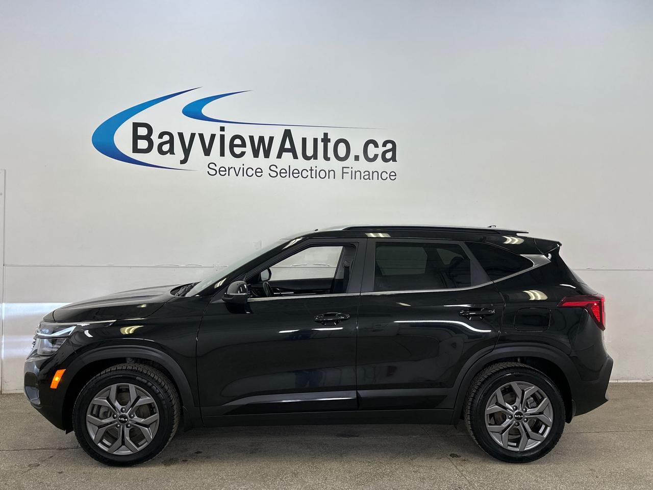 2024 Kia Seltos EX 4dr All-Wheel Drive Photo