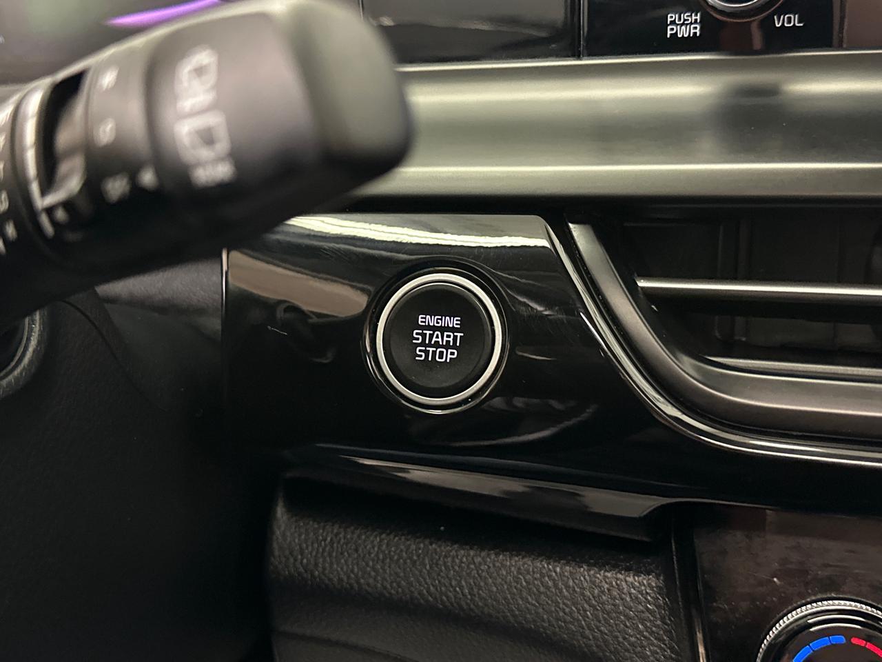 2024 Kia Seltos EX 4dr All-Wheel Drive Photo