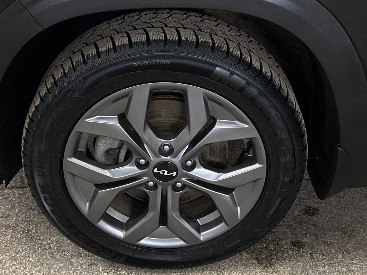 2024 Kia Seltos EX 4dr All-Wheel Drive Photo