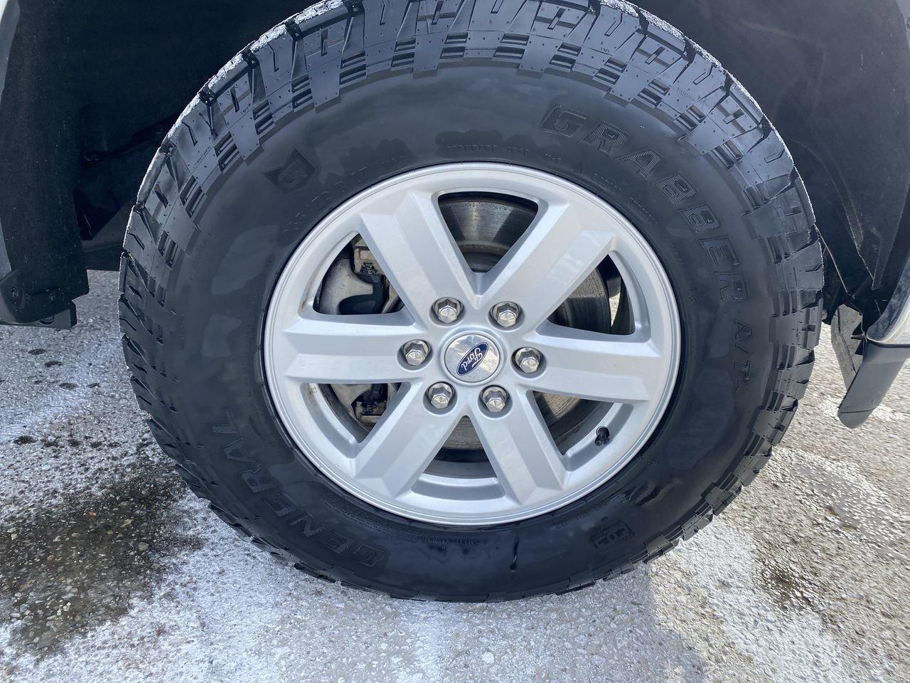 2022 Ford F-150 XLT Photo