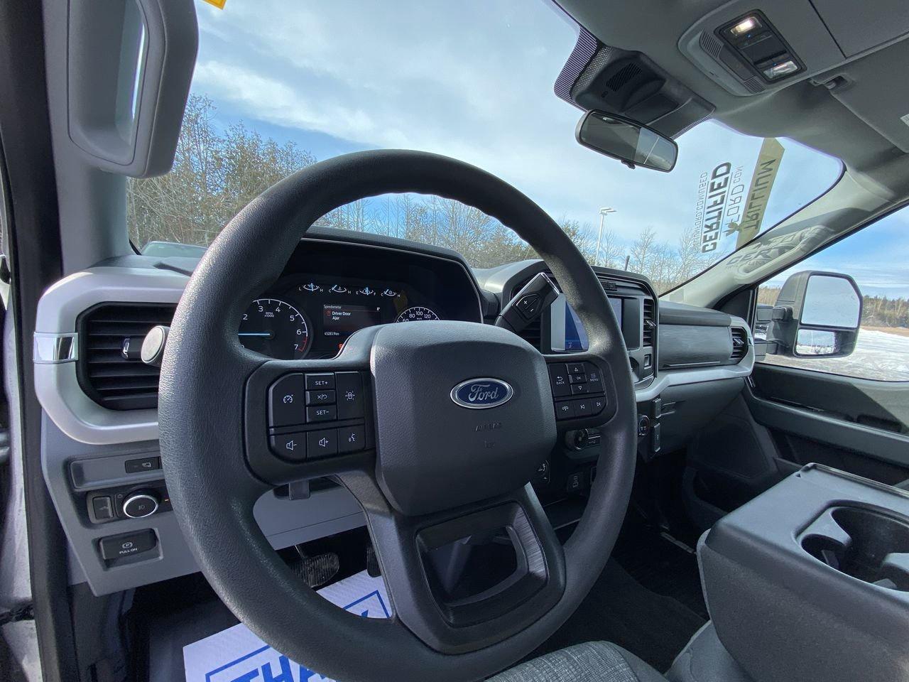 2022 Ford F-150 XLT Photo