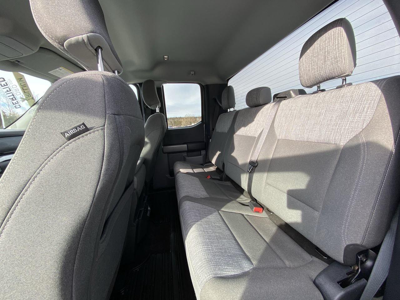 2022 Ford F-150 XLT Photo