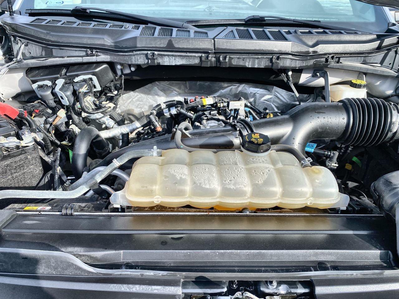 2022 Ford F-150 XLT Photo